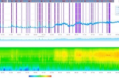 Dynamic Triggering of Loon Calls with 831C and G4 Graphs